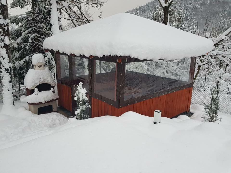 Skalite Wellness
