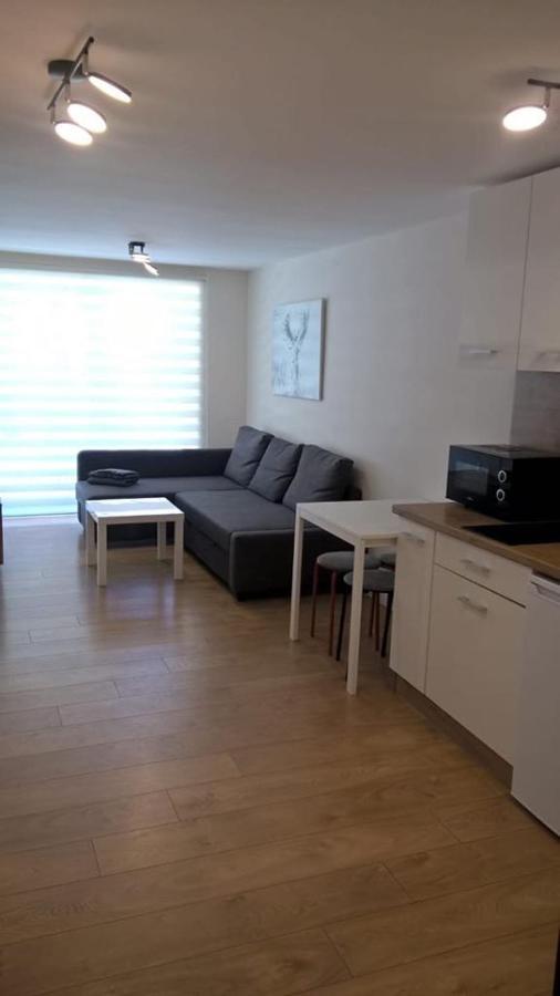 Apartmán Skalite Wellness